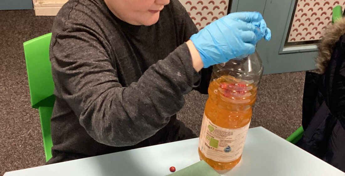 Cedar Class learners creating model blood in Science at Rowan School.