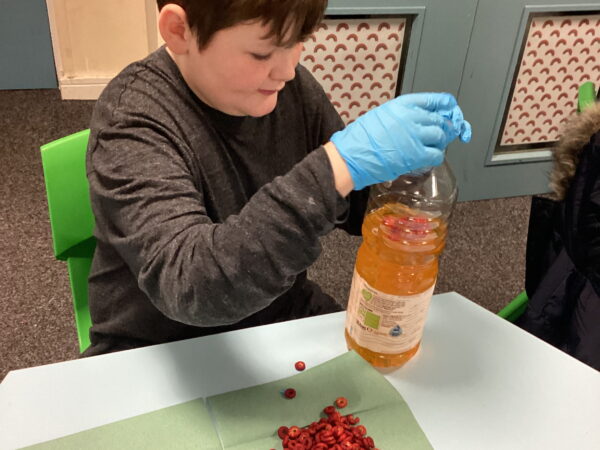 Cedar Class learners creating model blood in Science at Rowan School.