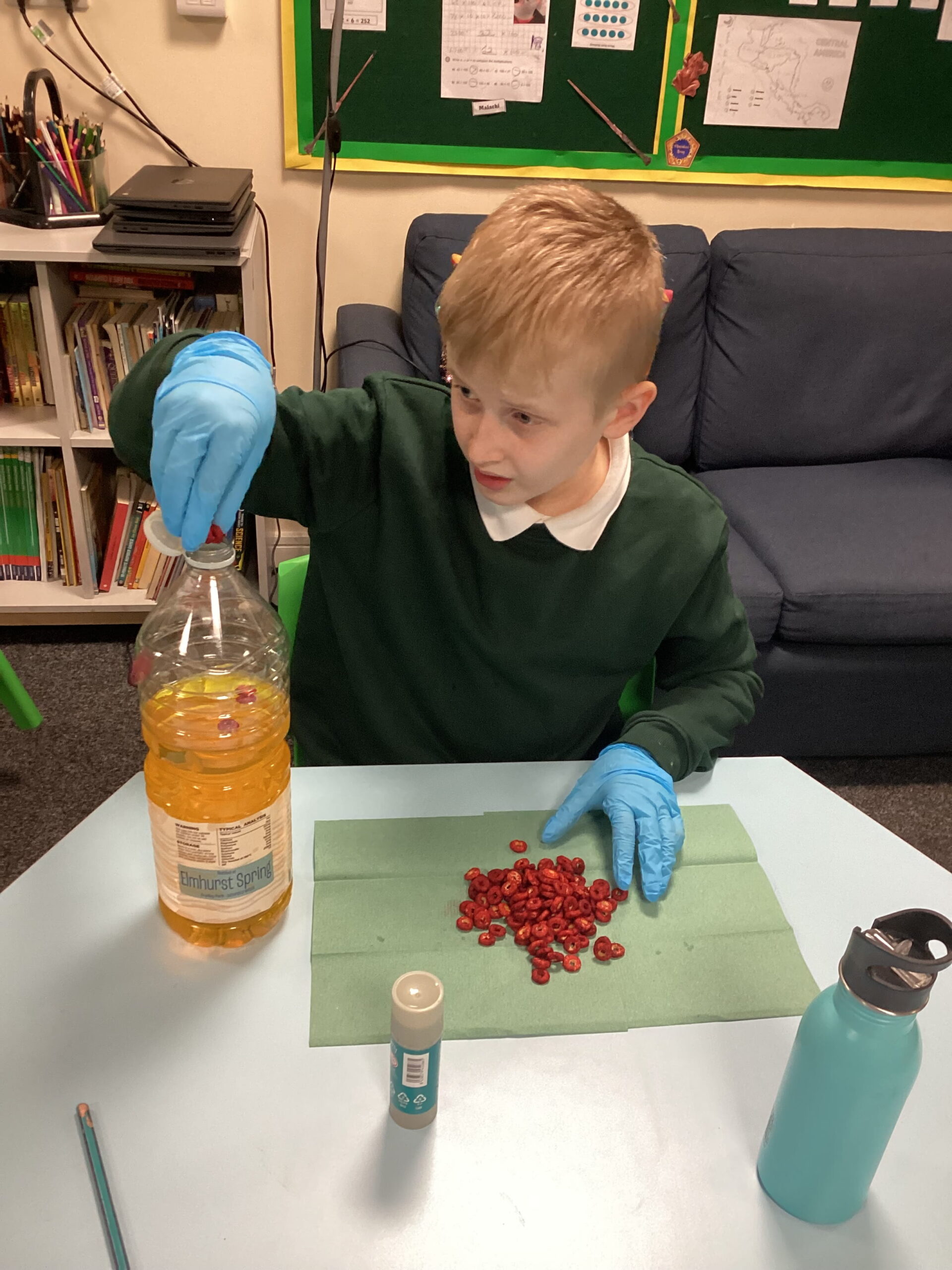 Rowan School students exploring the components of blood with hands-on models.