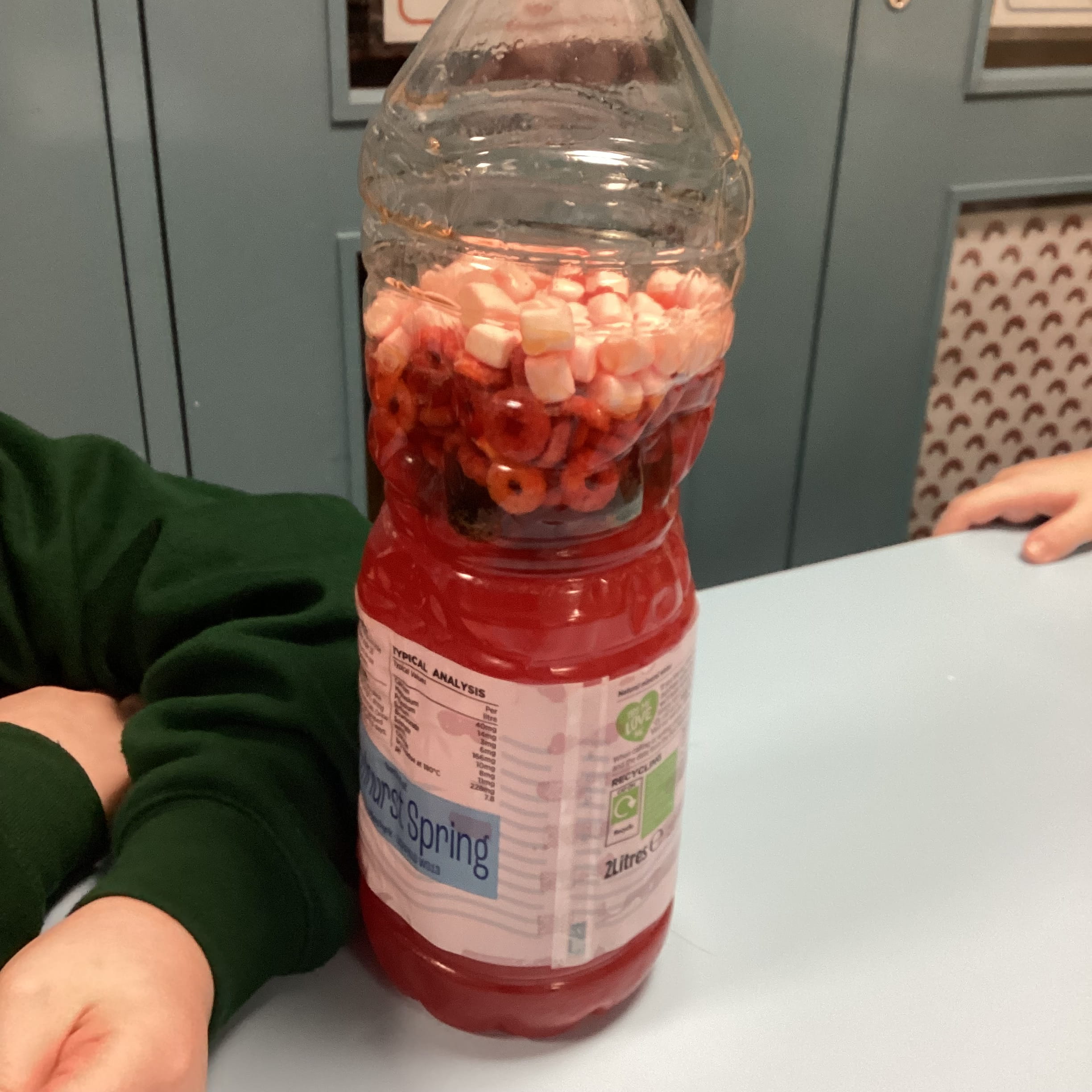 Rowan School Cedar Class enjoying interactive Science to understand blood composition.