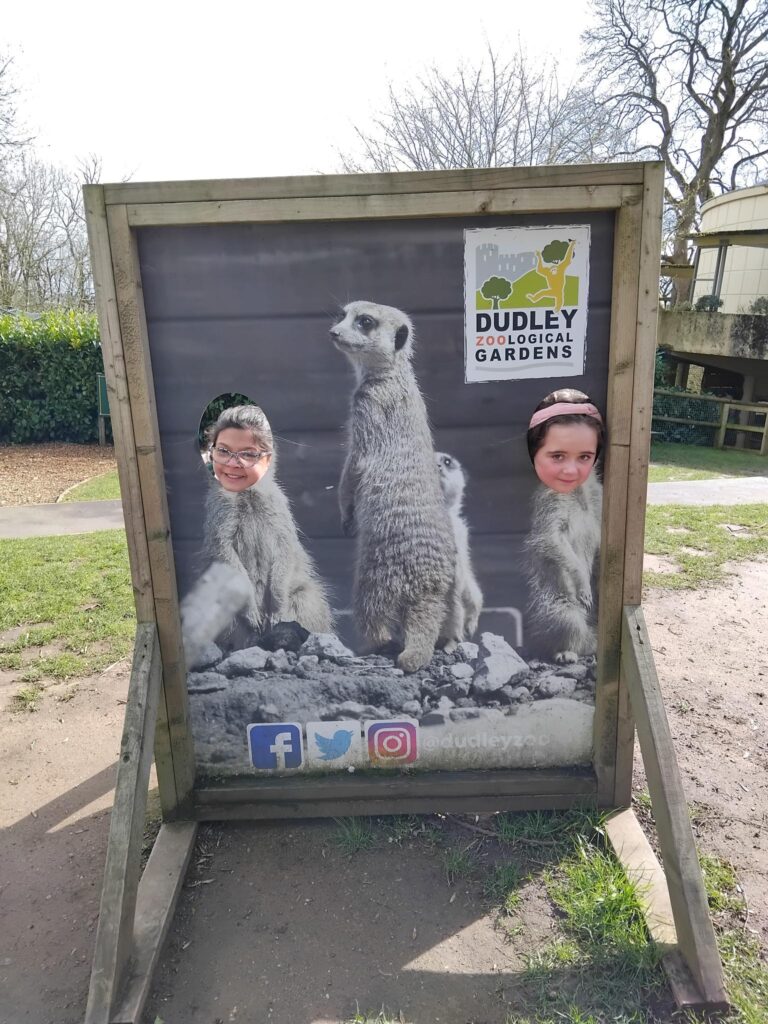 Elm Class celebrate a successful half term with a school trip to Dudley Zoo, combining learning and fun.