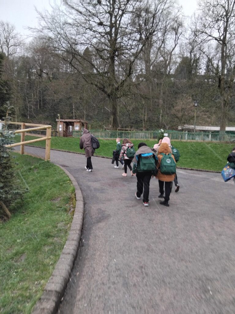 Elm Class learners from The Rowan School enjoy a reward trip to Dudley Zoo, exploring animals and outdoor learning experiences.