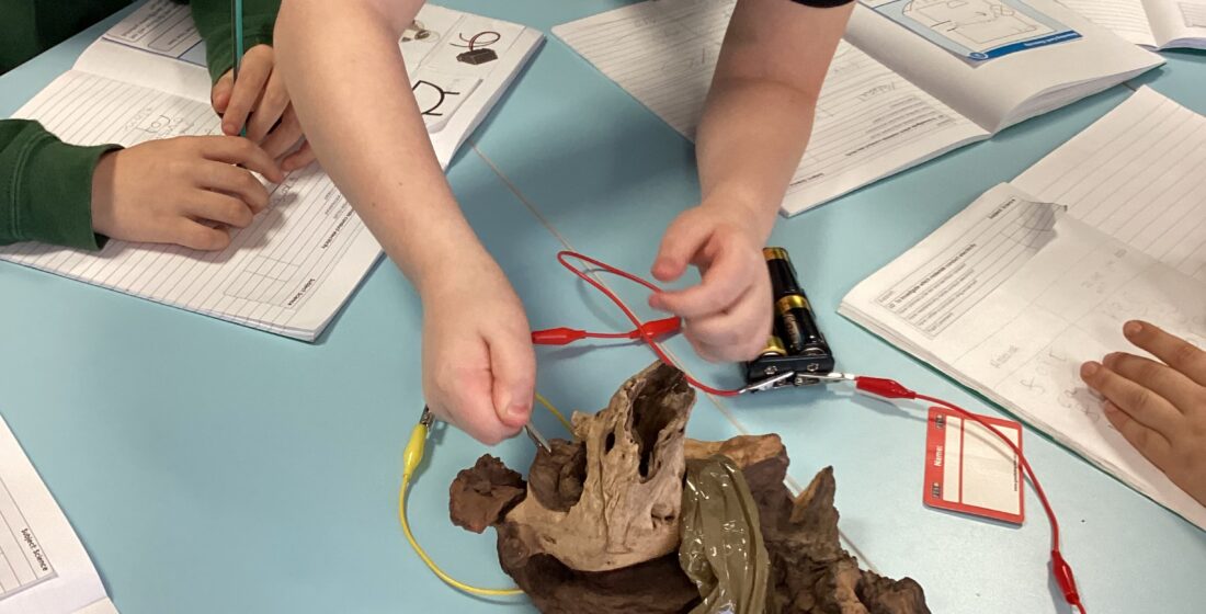 Cedar Class developing scientific skills through practical circuit investigations