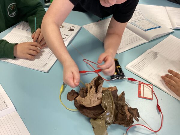 Cedar Class developing scientific skills through practical circuit investigations