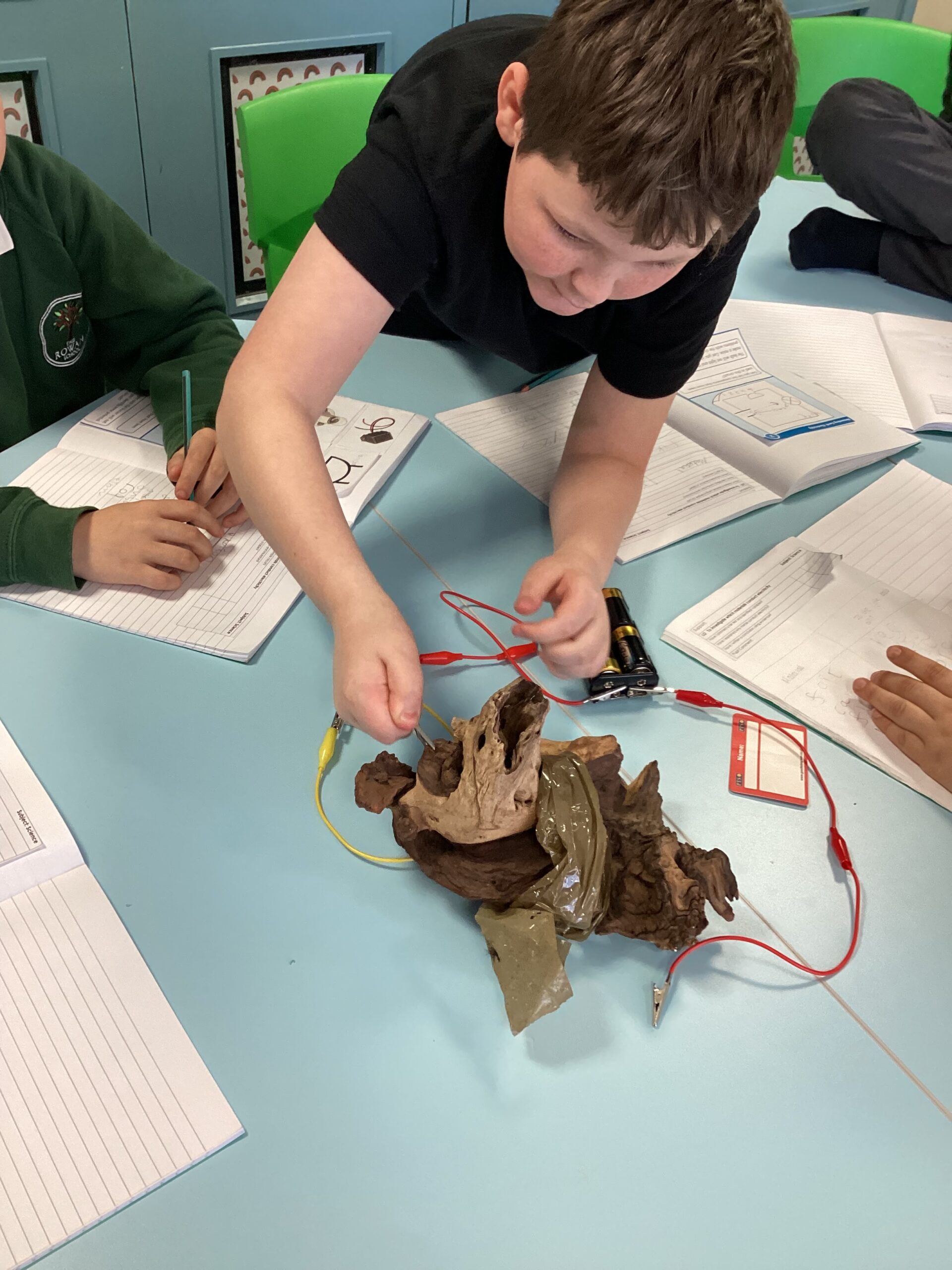 Cedar Class developing scientific skills through practical circuit investigations
