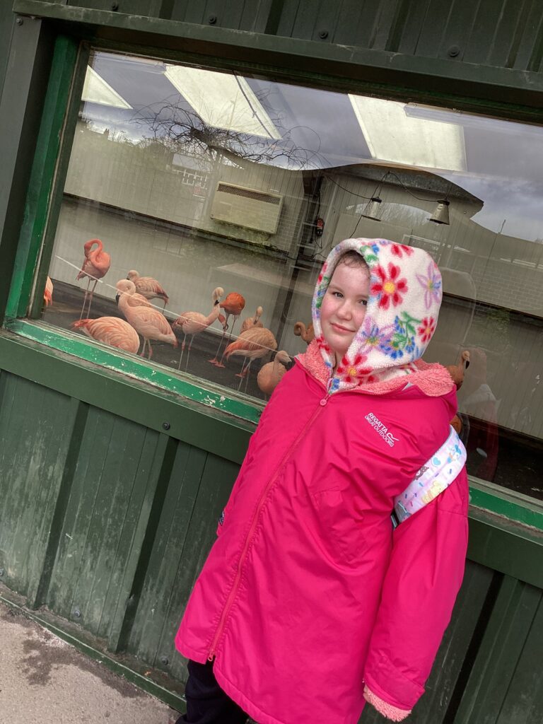 Learners engaging with the natural world during an exciting zoo visit