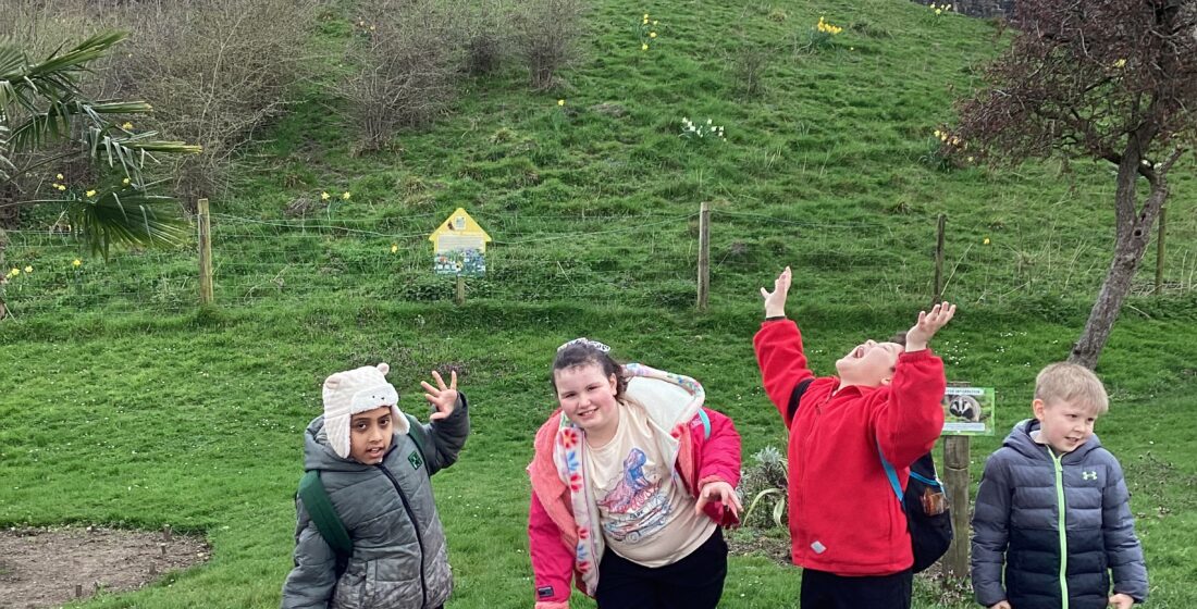 Maple Class exploring and learning during a school trip to Dudley Zoo