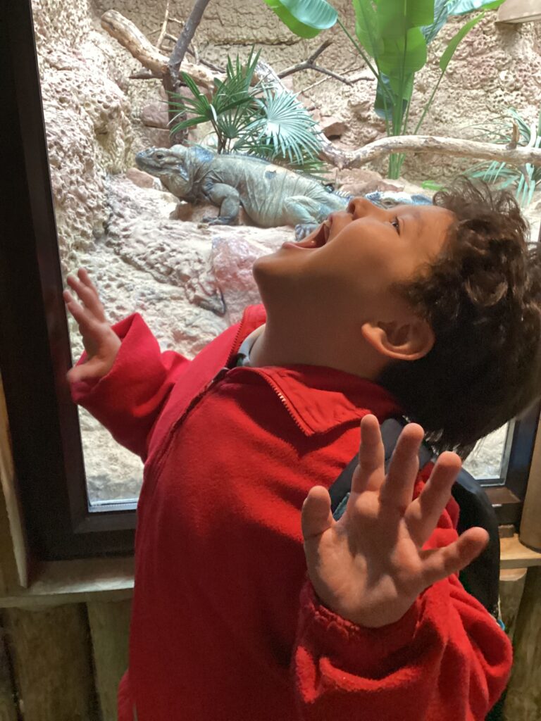 Rowan School learners enjoying an educational visit to Dudley Zoo