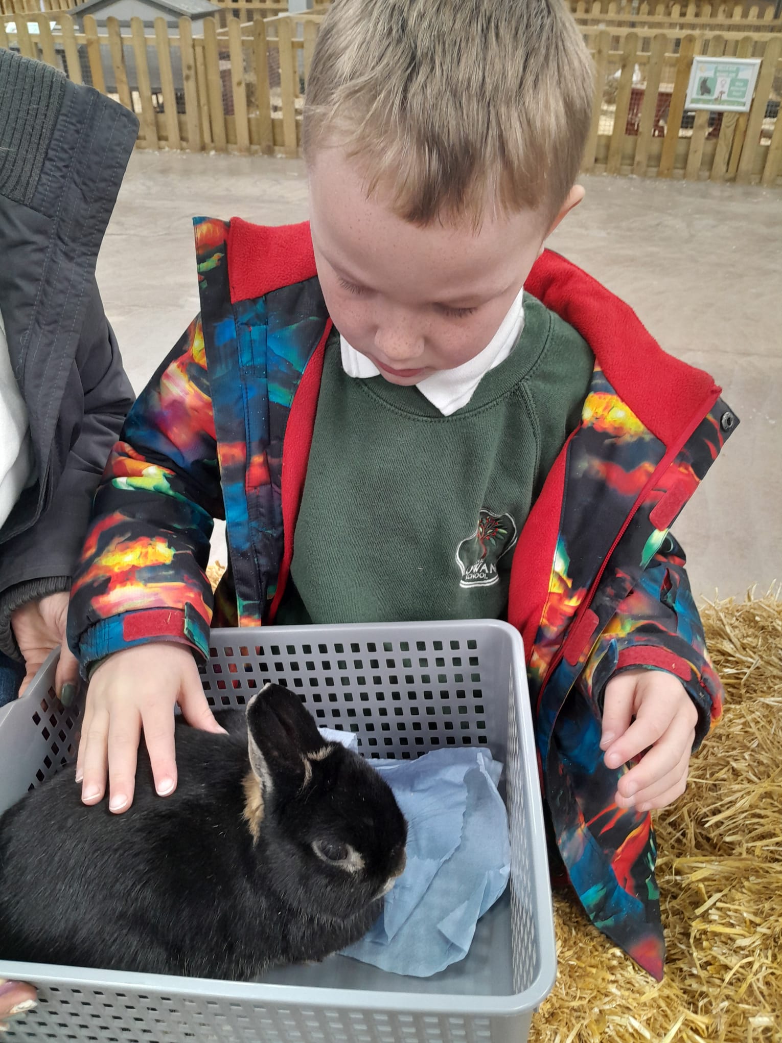 Oak Class learners enjoy outdoor educational activities and animal encounters during their visit to Little Owl Farm Park.