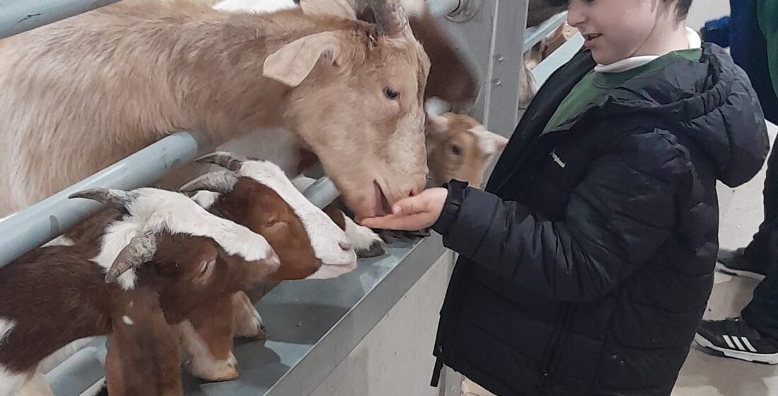 Learners from Oak Class develop confidence and curiosity through animal interaction and outdoor learning activities at Little Owl Farm Park.