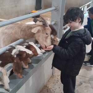 Learners from Oak Class develop confidence and curiosity through animal interaction and outdoor learning activities at Little Owl Farm Park.