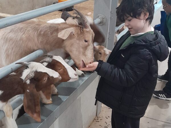 Learners from Oak Class develop confidence and curiosity through animal interaction and outdoor learning activities at Little Owl Farm Park.