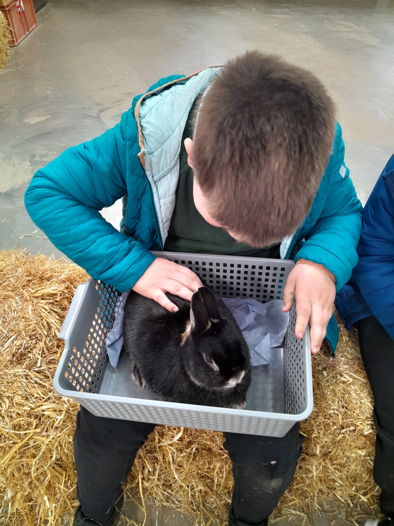 Rowan School Oak Class learners enjoy an educational day at Little Owl Farm Park exploring farm animals, habitats and nature.