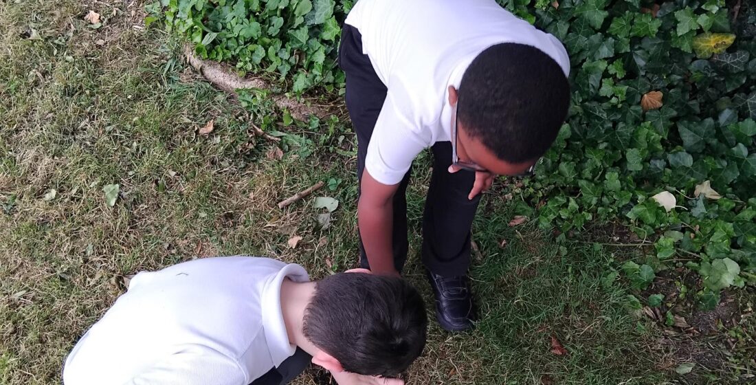 Oak Class learners design and build bug houses as part of an engaging science project exploring minibeasts and their habitats at The Rowan School.