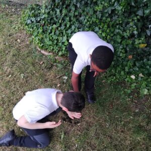 Oak Class learners design and build bug houses as part of an engaging science project exploring minibeasts and their habitats at The Rowan School.