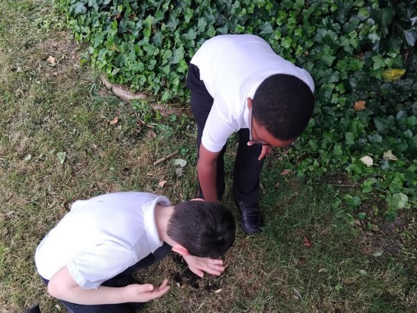 Oak Class learners design and build bug houses as part of an engaging science project exploring minibeasts and their habitats at The Rowan School.