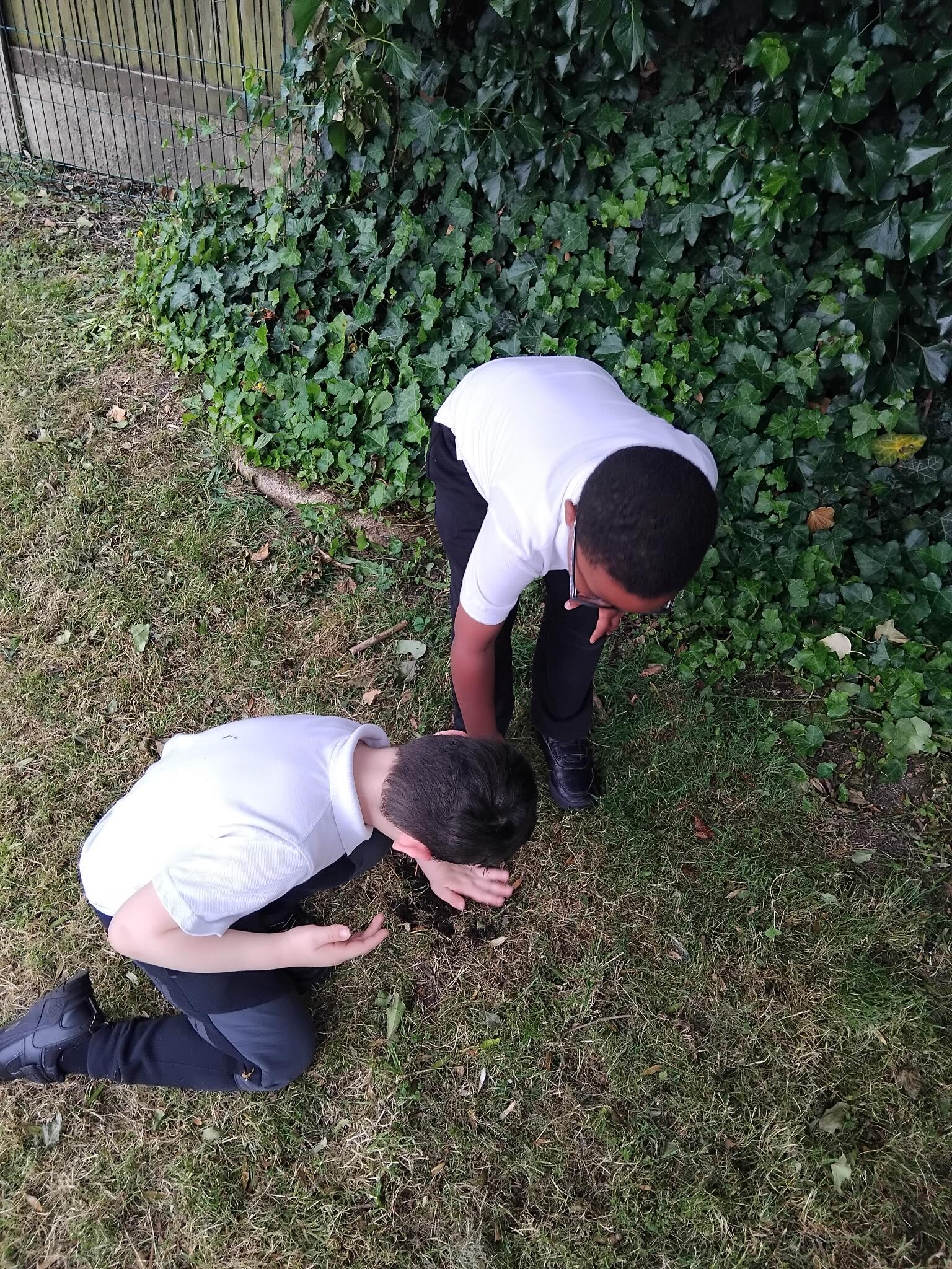 Oak Class learners design and build bug houses as part of an engaging science project exploring minibeasts and their habitats at The Rowan School.