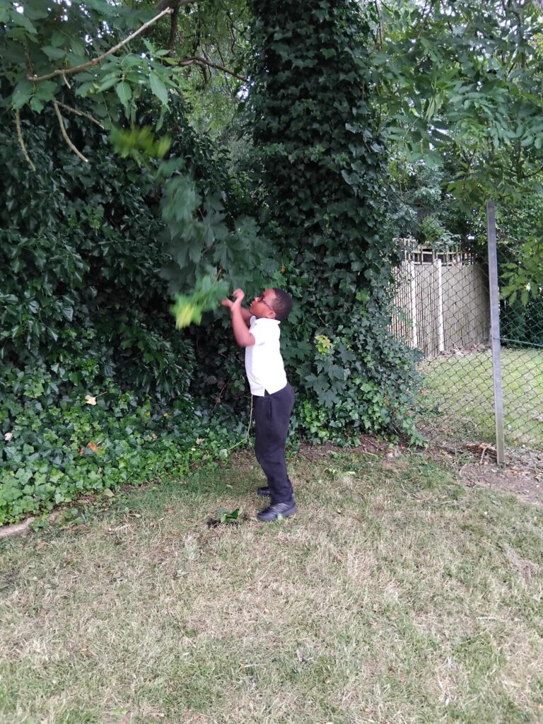 Hands-on science learning helps Oak Class discover what different minibeasts need to survive by creating habitats tailored to each species.