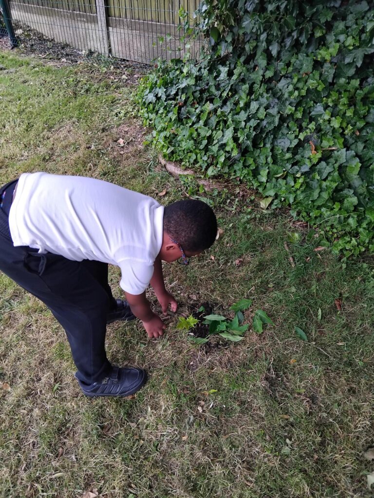 Learners at The Rowan School explore minibeast habitats through creative bug house building, developing scientific knowledge and problem-solving skills.