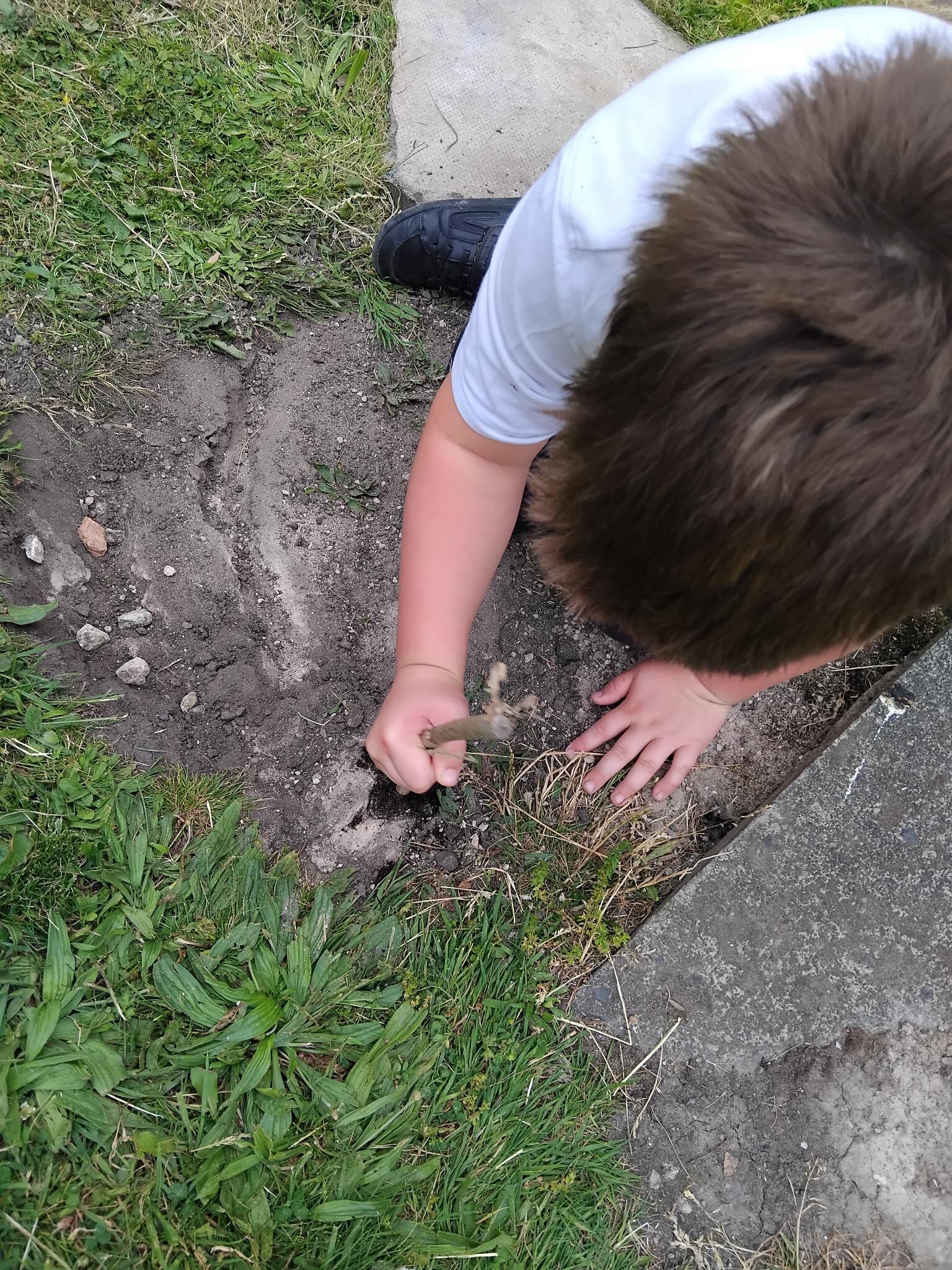 Oak Class investigates the fascinating world of minibeasts, learning about habitats, biodiversity and the natural environment through practical science activities.