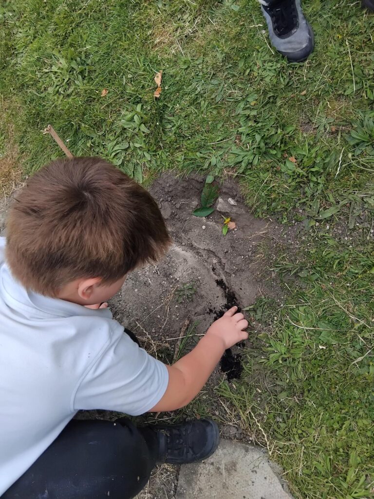 Oak Class combines creativity and scientific enquiry by designing unique minibeast habitats, helping learners understand living things and their environments.