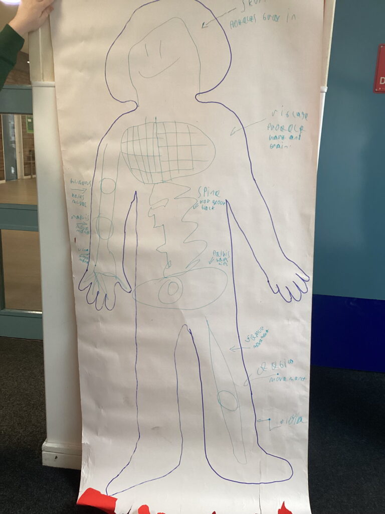 Hands-on science learning at The Rowan School helps Willow Class develop their understanding of the human skeleton and human body through creative, interactive lessons.