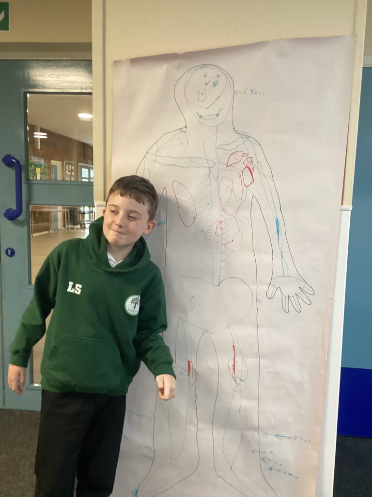 Science comes to life as Willow Class investigates human anatomy, building confidence, teamwork and communication through practical activities.