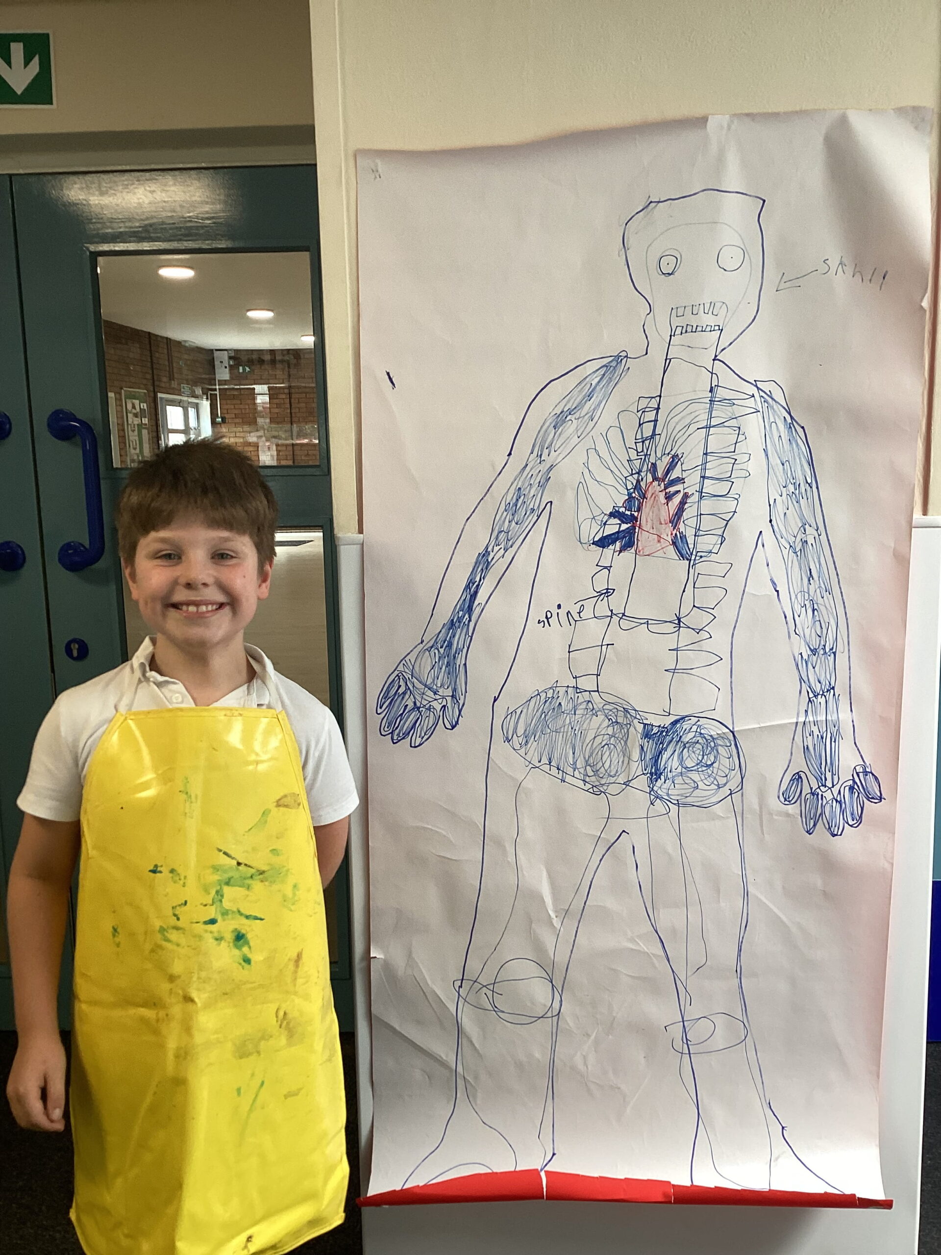 Willow Class learners explore the human skeleton by creating life-sized body diagrams during an engaging hands-on science lesson at The Rowan School.