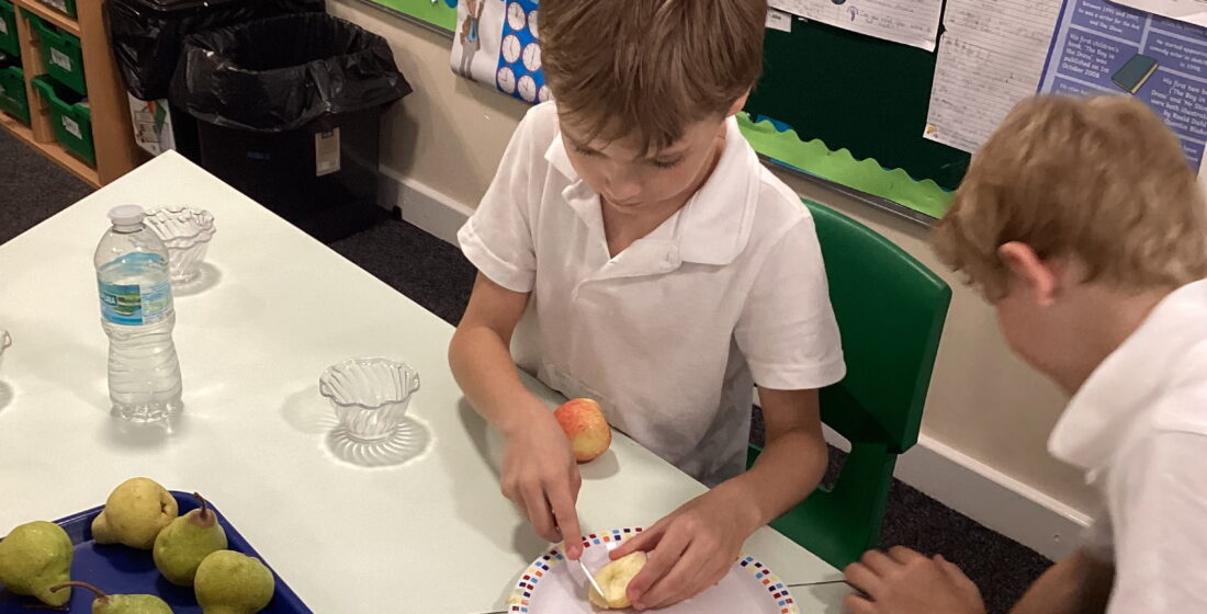 Elm Class enjoys a refreshing fruit salad after learning valuable life skills through practical cooking and healthy eating activities at The Rowan School.